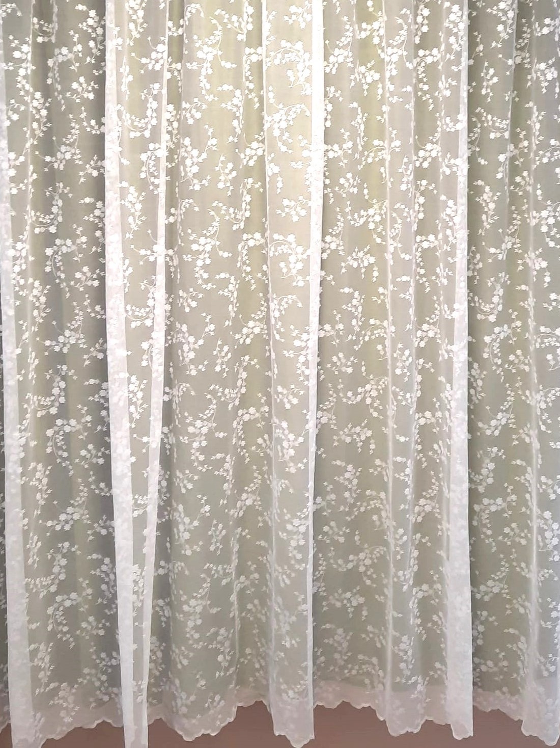 2411 tituls DAY CURTAINS 2411 - Image 1